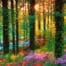 dreams health hypnosis garden subconscious healing