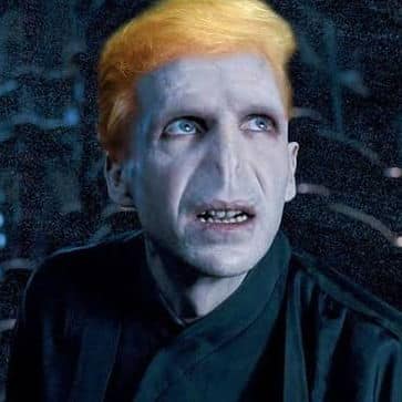 Voldemort Donald Trump Harry Potter pompous narcissistic sadistic indifferent felonious murderous dim witted mendacious perfidious morally defective poorly informed evil ugly